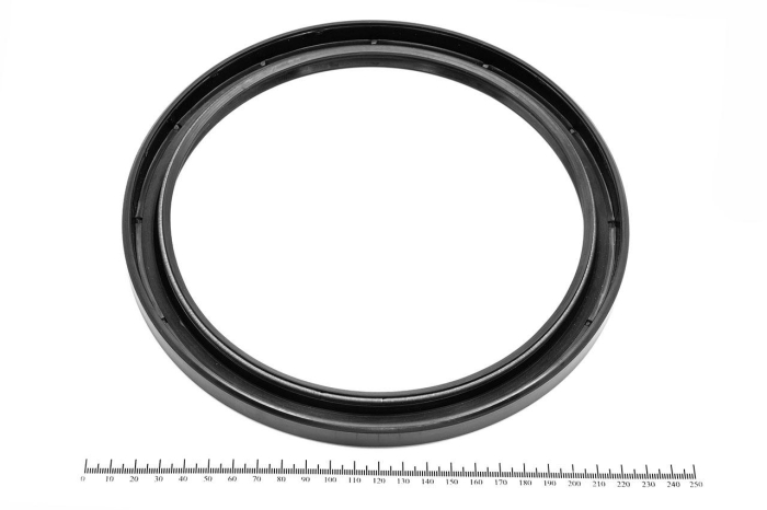 Сальник (манжета армированная) 2.2-190х225х15 ГОСТ 8752-79