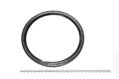 Сальник (манжета армированная) TC 160х185х10 NBR70