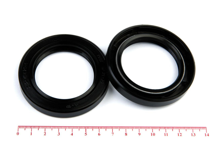 Сальник (манжета армированная) 2.2-48х70х10 ГОСТ 8752-79