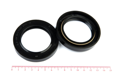 Сальник (манжета армированная) 2.2-48х72х10 ГОСТ 8752-79