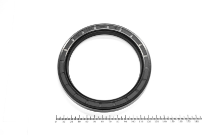 Сальник (манжета армированная) TC 100х125х13 NBR70