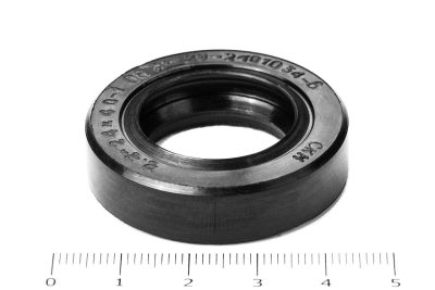 Сальник (манжета армированная) 2.2-24х40х10 (20-2401034-Б) ГОСТ 8752-79