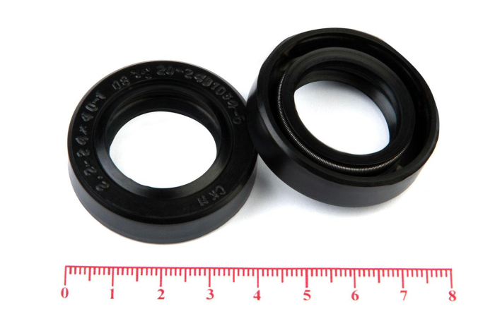 Сальник (манжета армированная) 2.2-24х40х10 (20-2401034-Б) ГОСТ 8752-79