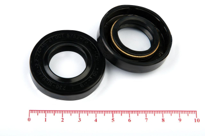 Сальник (манжета армированная) 2.2-24х46х10 (236-1029240) ГОСТ 8752-79