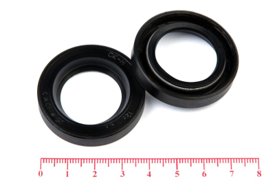 Сальник (манжета армированная) 1.2-25х40х7 ГОСТ 8752-79